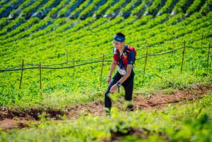 BIB: 
                            <button type="button" onclick="openModal(19161679)" class="btn btn-primary btn-sm float-right btn-popup" data-toggle="modal" data-target=".modal-high-quality">
                        <i class="fas fa-shopping-cart"></i> Add to Cart
                    </button>
                                            <button type="button" onclick="isThisMe(19161679, true)" class="btn btn-success btn-sm float-right btn-popup btn-isme hidden" data-toggle="tooltip" data-placement="bottom" title="นี่คือรูปของคุณใช่ไหม คลิกที่นี่เพื่อเอาเข้าอัลบั้ม">
                        <i class="fas fa-plus"></i> Add to album
                    </button>
                    <button type="button" onclick="isThisMe(19161679, false)" class="btn btn-warning btn-sm float-right btn-popup btn-isnotme hidden">
                        <i class="fas fa-ban"></i> Remove from album
                    </button>